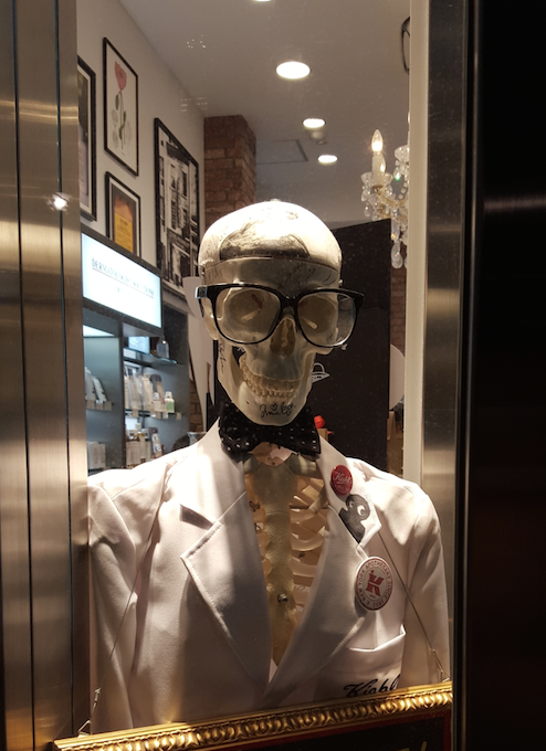 http://www.natsukijun.com/svnow/Skeleton%20in%20Ginza.png