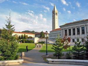 Berkeley_glade_afternoon.jpg