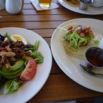 お昼ご飯が出てきました