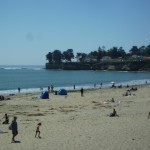 あちらの岬はサーファー、こちらのビーチは家族連れ
