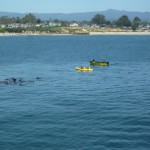 ちょっとボートで近づいてみようかな