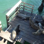 こちらのグループは一触即発、あやしい雲行き