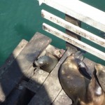 ヨイショ、この穴は抜けられるかな?