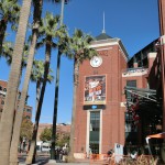 翌日は空が真っ青