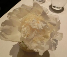 テーブルの花は牡丹(Peony)でしょうか