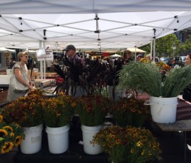 お花屋さんと話し込むレディー
