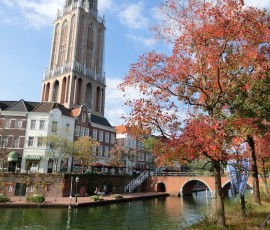 川沿いの木々が見事に色づく