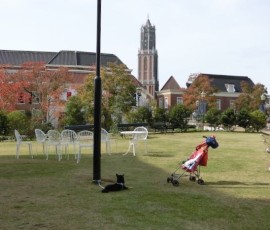 ワンちゃんは芝生でのんびりと