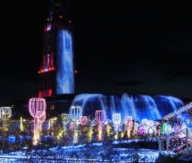 ものすごい数の電球