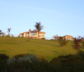 夕日に輝く誰かさんのお家。やしの木は庭には大人気です。