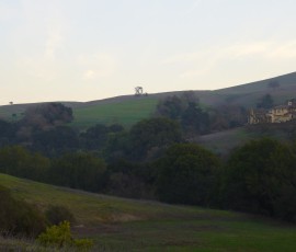 家の向こうの丘では、今でも牛が放し飼いにされています。のどかな風景。
