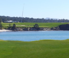 ラッコがケルプにくるまって日向ぼっこ