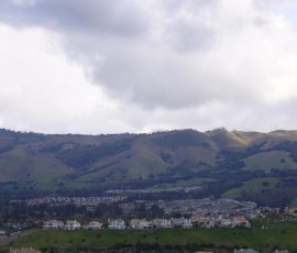 遠くに雪を頂くハミルトン山が見えます