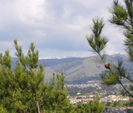 翌日は、一転していい天気。山頂の雪もだいぶ解けています