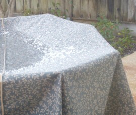 パティオテーブルにもポツポツ