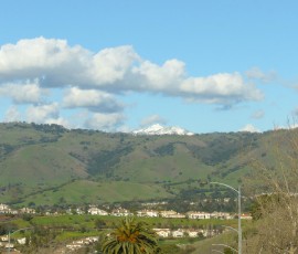 ハミルトン山も真っ白です