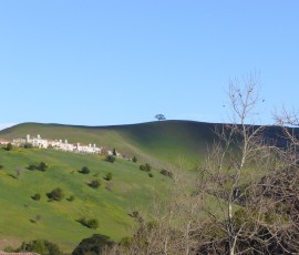この日は、近所の丘もきれいです