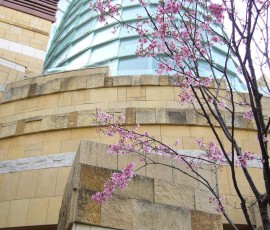 六本木ヒルズの中庭。ピンクが建物によく映えます