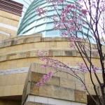 六本木ヒルズの中庭。ピンクが建物によく映えます