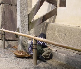 二条城で雑草を抜くお方。ほんとにご苦労さまです