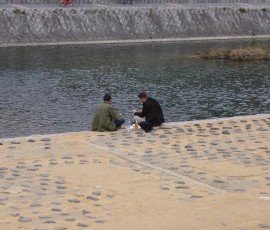 「花より団子」。鴨川で弁当を広げる外人さん