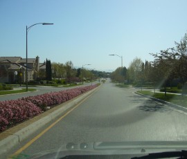 春は道路もきれいです