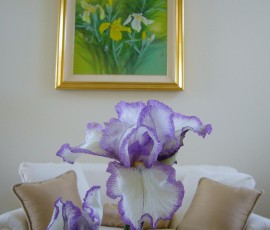 ユリ?アヤメ?ショウブ?