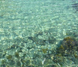 ビーチは水も澄み切ってきれい