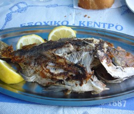 11.近海の魚の丸焼き