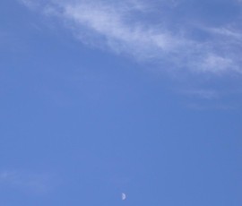 ちょっと小さいけど半月です