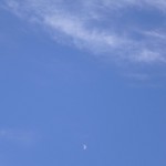 ちょっと小さいけど半月です