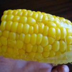 朝摘みのとうもろこしは最高です