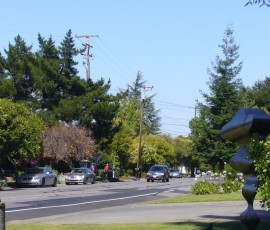ロスアルトスは閑静な住宅街