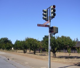 小さな果樹園も残ります