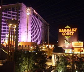 老舗のフラミンゴ