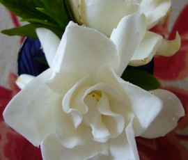 部屋の中に芳しい香り