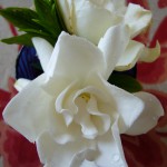 部屋の中に芳しい香り
