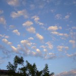 夏のひつじ雲(7月の終わり)
