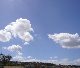 きのうの朝は、ポコポコ雲