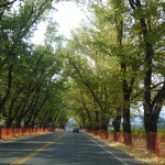 紅葉が少しずつ始まっていました