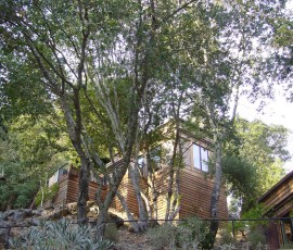 部屋は一戸建て