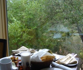 部屋で朝食。ソバ粉のパンケーキ