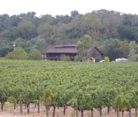 昔ながらのワイナリー発見!