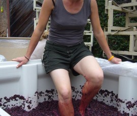 ぶどうを足でつぶしてる!暖かいそうです