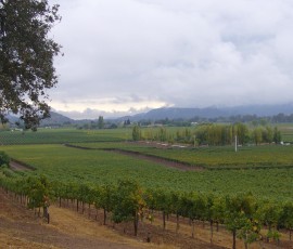 シルヴェラード・トレイル沿いの風景