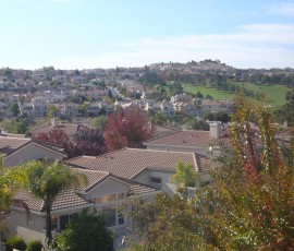 ある日近所を見渡すと、屋根を追い越す鮮明な赤が