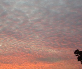 我が家からの夕日です