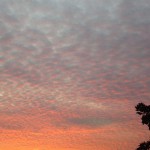 我が家からの夕日です