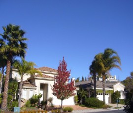 この日は、朝からいい天気