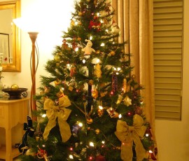 ほら、こんなに変身しましたよ!